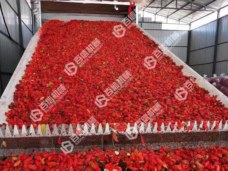 湖南米粉产业革新：烘干机在臻心服务中的应用