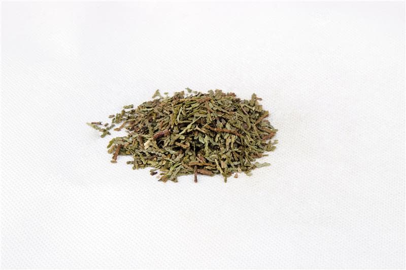 侧柏叶的功效与作用