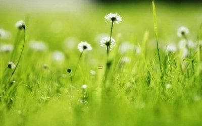2025年动土黄道吉日推荐 动土时应注意的风水