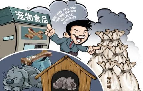 “黑心”宠物粮为何屡禁不止？专家建议尽快制定宠物食品国家强制性标准