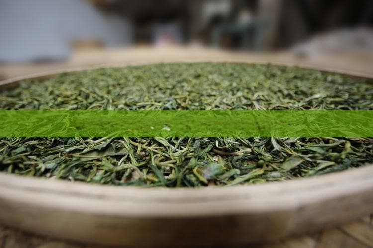 枸杞与茶叶泡饮的搭配指南及注意事项