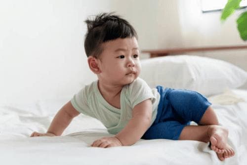 婴童食品如何选择？解读婴辅标准，确保安全与营养并存