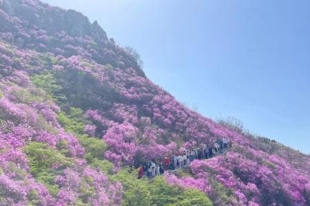 大黑山风景区：辽南名山的自然人文之美