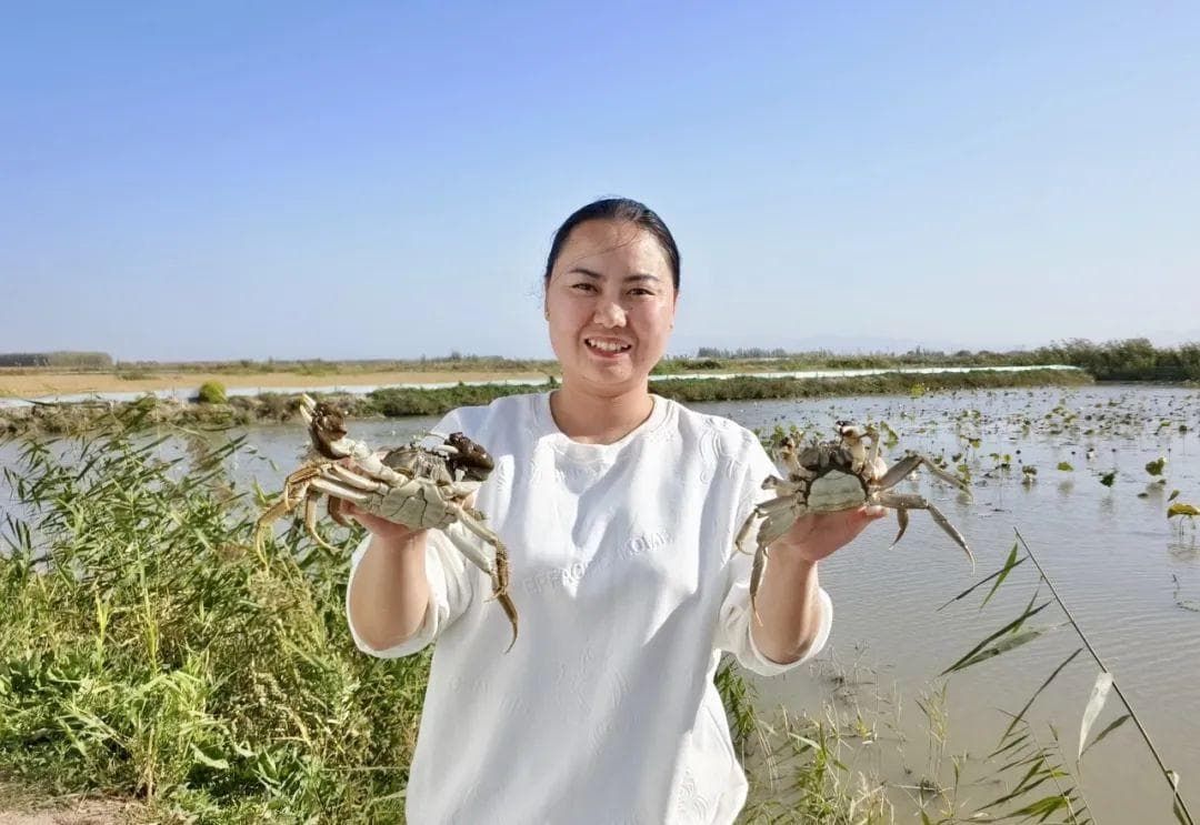 “@她创业计划”——赋能边疆女性 助力出彩人生