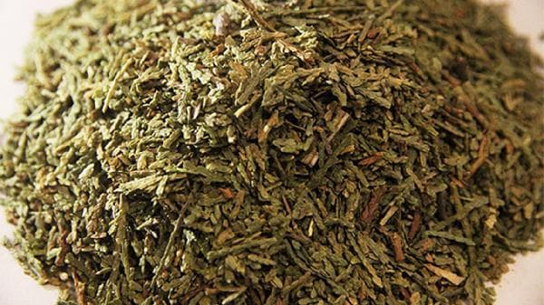 侧柏叶对脱发有效果吗？医生提醒：需长期使用并配合综合治疗