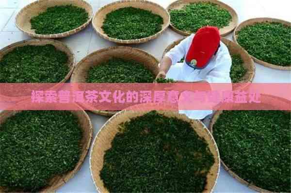 探索普洱茶文化的深厚意义与健康益处