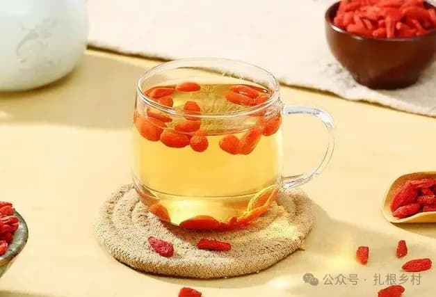 “离家千里，勿食枸杞”怎么解释？出门在外不能吃枸杞？
