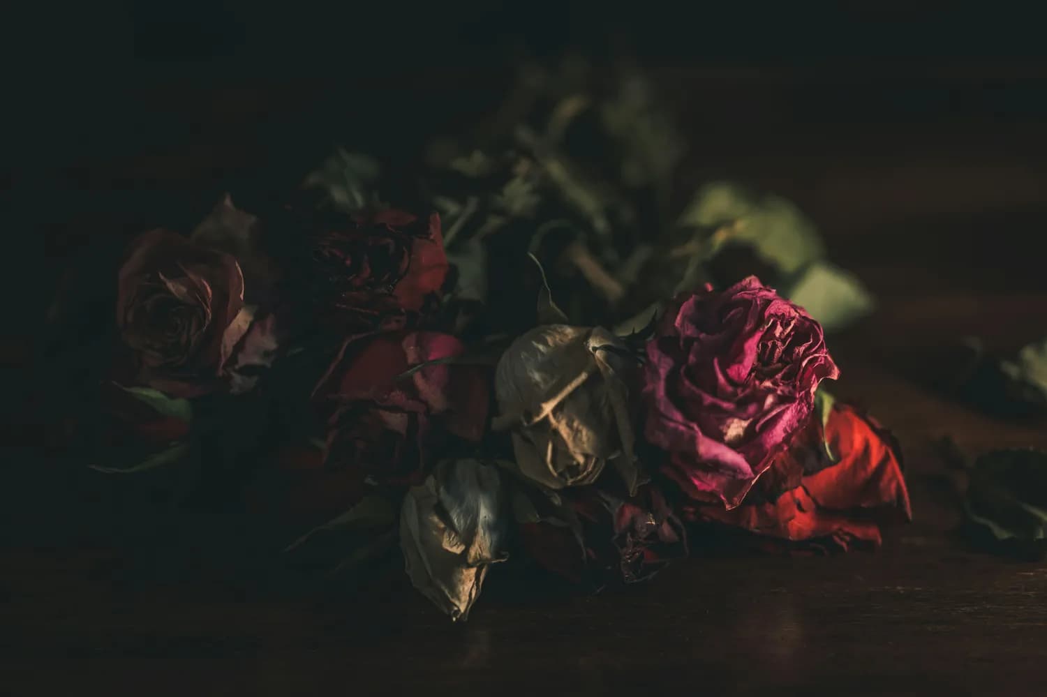 许嵩《玫瑰花的葬礼》：一场关于爱情的悼念