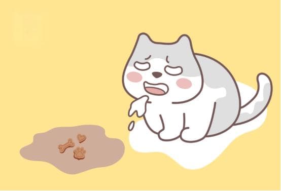 猫咪呕吐别慌！先看看是不是这6个原因