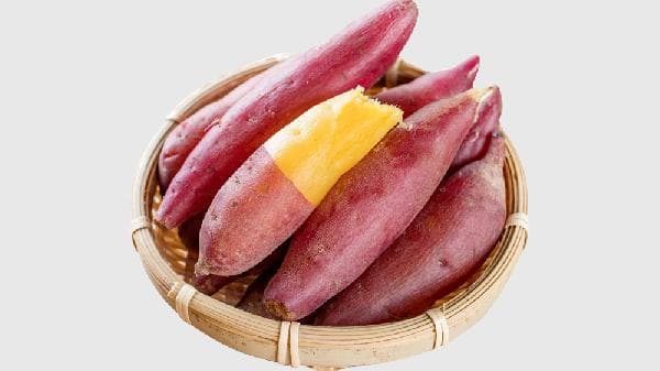 番薯是什么时候传入中国的