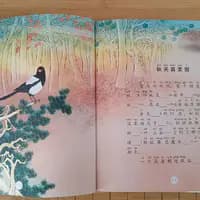 有没有适合一年级娃的拼音书？