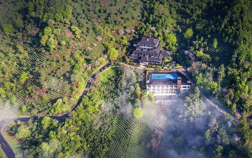 “生物多样性魅力城市”如何练就？来看安吉的答案