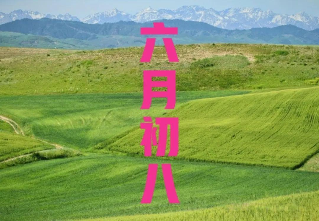 明日农历六月初八，记得“吃5样、忌2事”敬老爱老，传承“孝”文化
