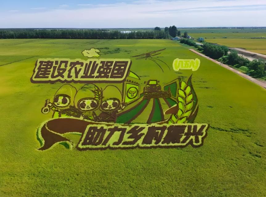 我国作为农业大国，在现代化农业方面都有哪些领先技术？