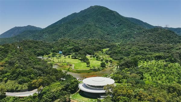 深圳：山海连城处 生态万象新