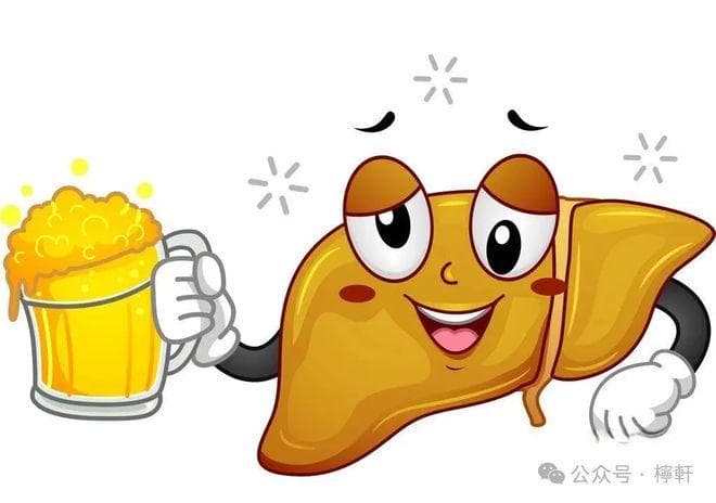 转氨酶高的原因
