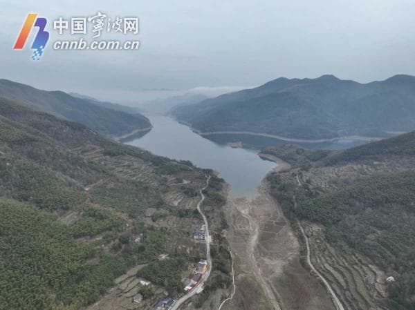 探访宁波古树之王：1500多岁 依然美丽