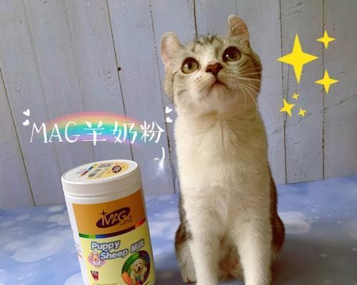 三个月猫咪羊奶粉喂养全攻略：从挑选到喂养，让你轻松养好小猫