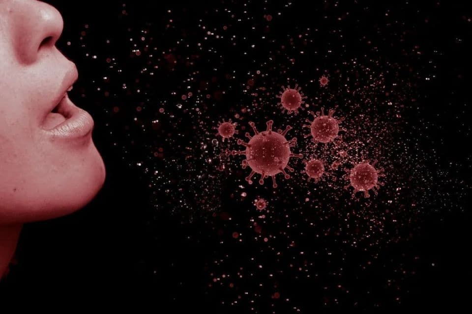 你房间里的二氧化碳，正帮助这些致命病毒存活