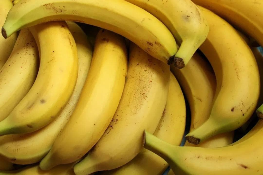 肠易激综合征的管理与远期预后：综合治疗策略与个体化关怀