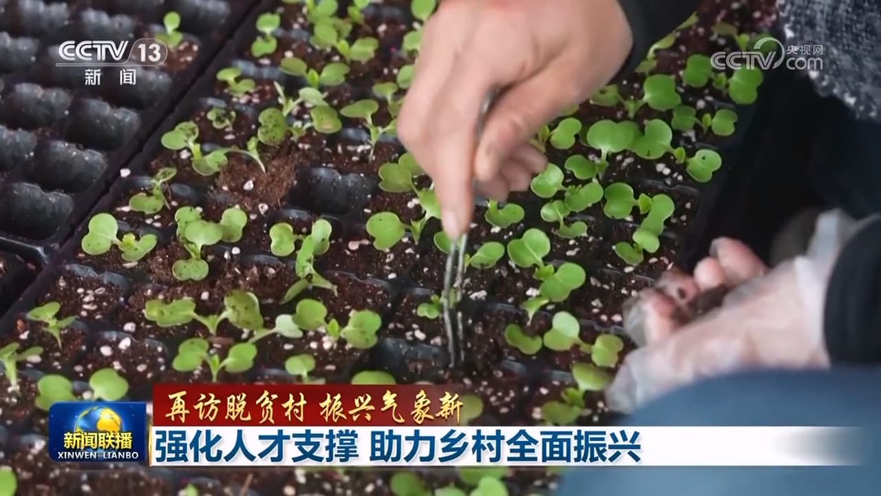 强化人才支撑 助力乡村全面振兴