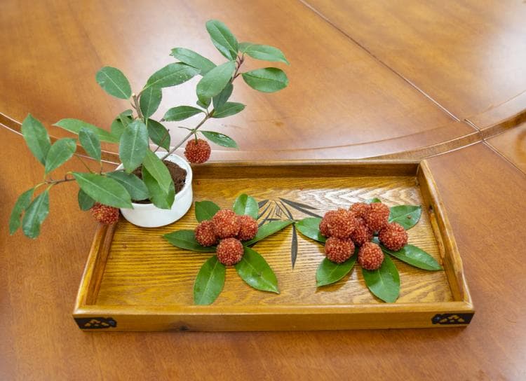潍坊峡山美食：四道特色菜品制作详解