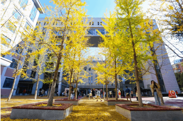 专业领域翘楚！中央财经大学好不好？毕业即可月入过万！