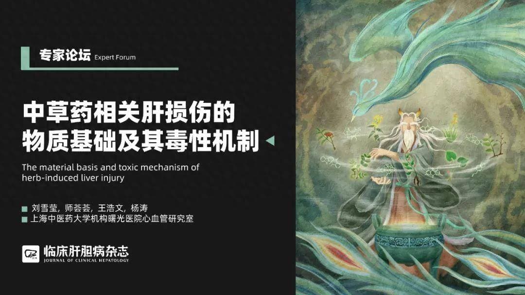 专家论坛｜杨涛：中草药相关肝损伤的物质基础及其毒性机制