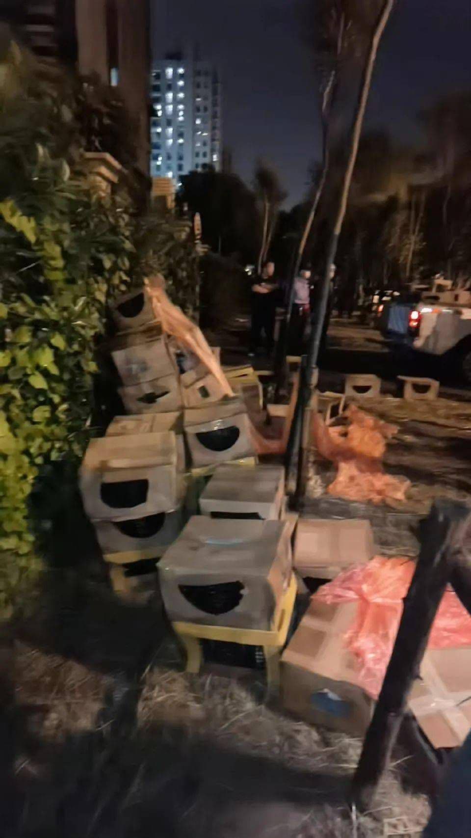上海惊现被遗弃宠物盲盒，100多只猫狗奄奄一息！快递公司回应
