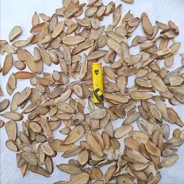 小柴胡汤，只换一味药，肝郁、湿热、失眠，全搞定！
