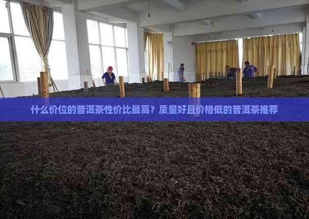 什么价位的普洱茶性价比更高？质量好且价格低的普洱茶推荐