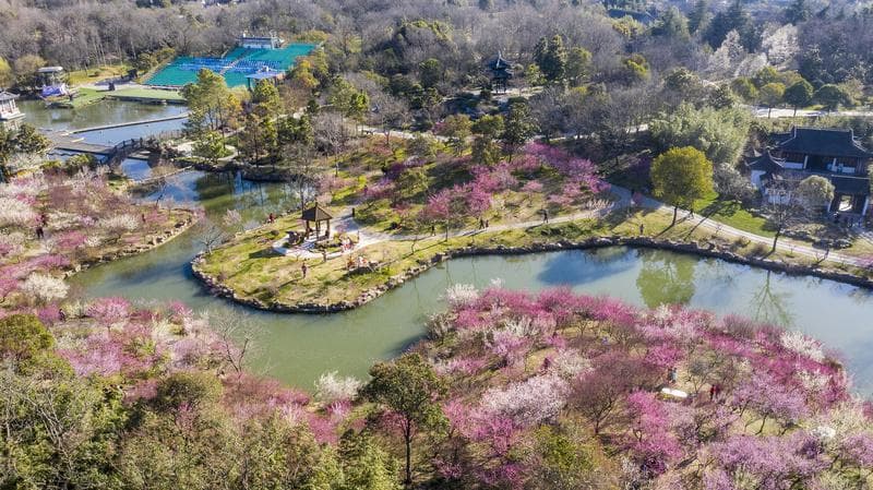 2025全国早春赏花地图来了！一起解锁春日限定浪漫