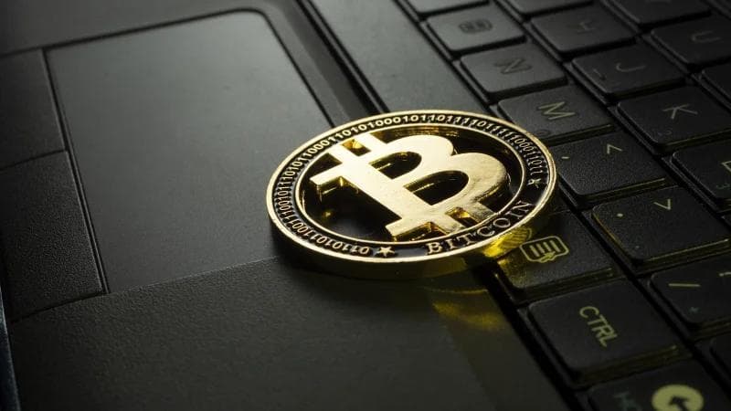 如何选择跨境电商平台：自建站还是第三方平台