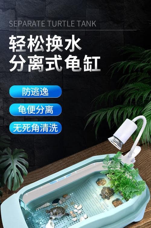 如何判断龟缸水质好坏？（养龟龟缸水质判断方法及）