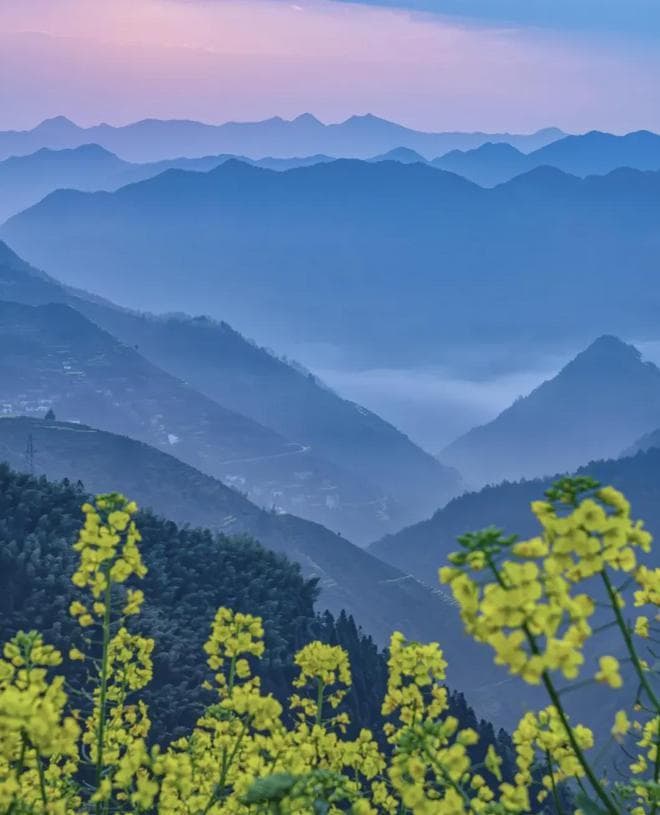 接地气一个小时，身体炎症消失了