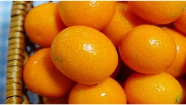 痛风患者可以吃橘子吗？专家解读低嘌呤饮食指南