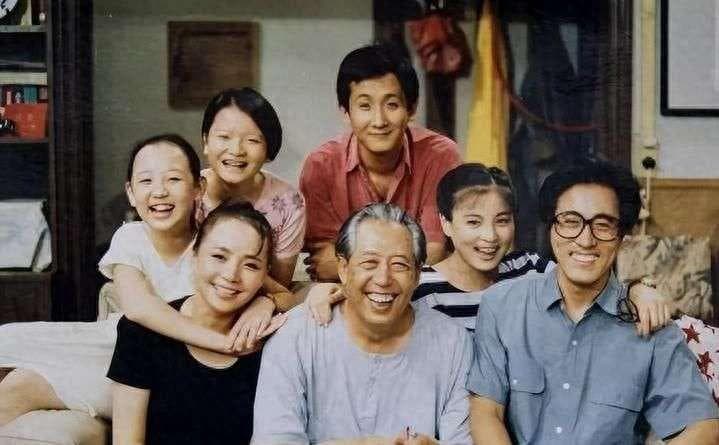 近20年最受欢迎的4部家庭剧：从《金婚》到《父母爱情》，评分最高的是它