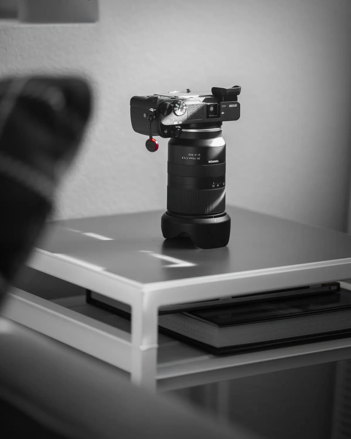Camera Raw+PS高效修图秘籍：从基础功能到实战技巧