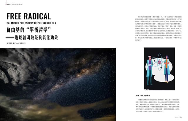 熟茶健康功效研究新进展|《普洱》杂志2024年8月刊精彩呈现