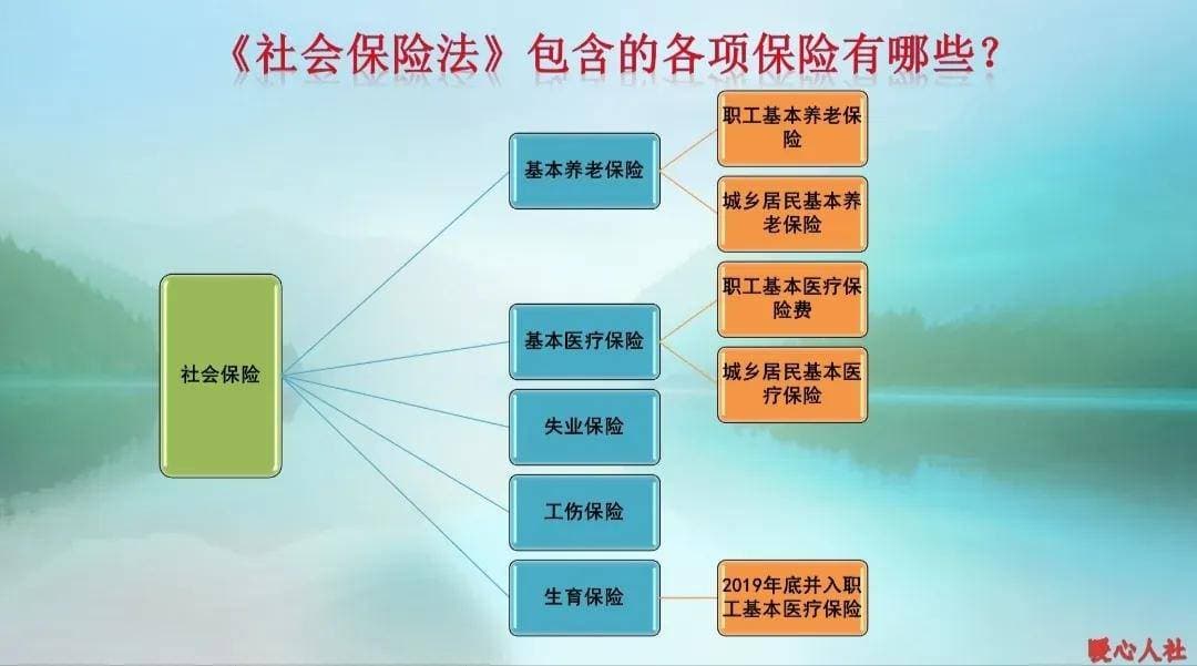 2025年退休年龄新规实施，延迟退休和提前退休，哪种选择更好？