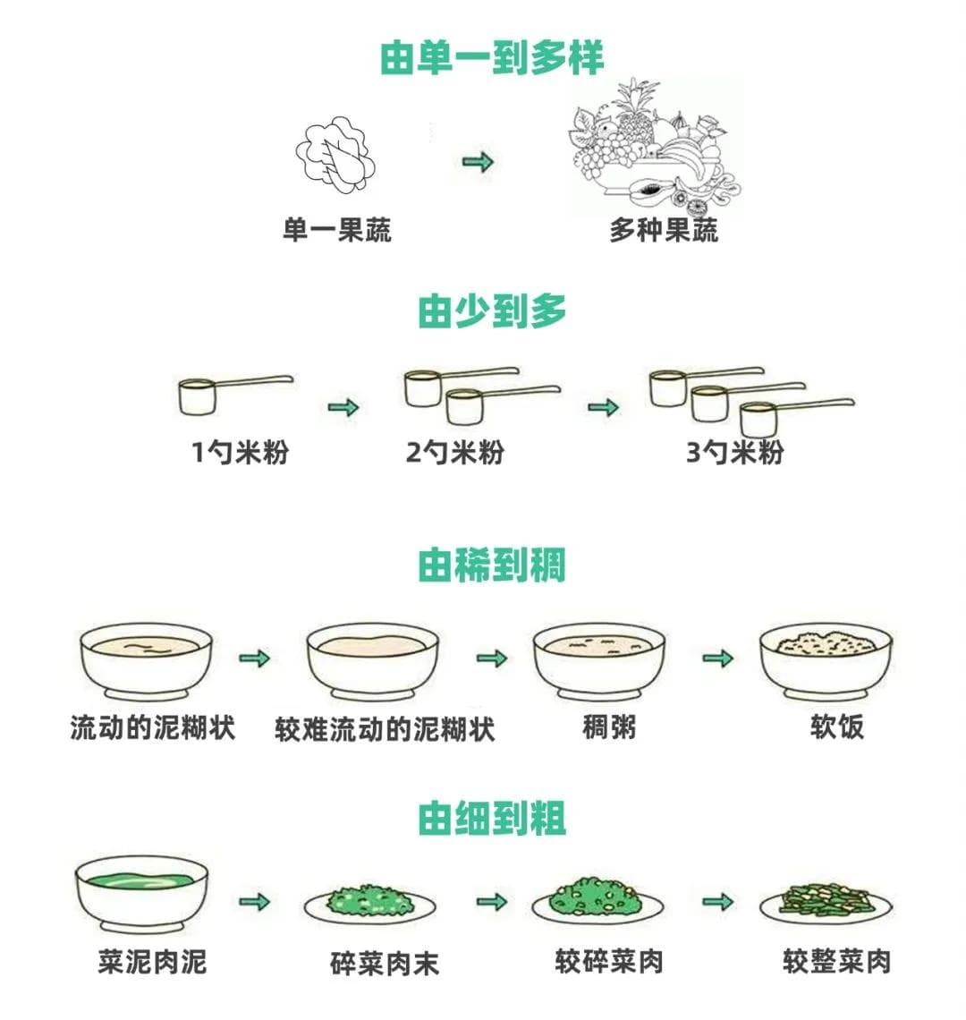 6 月龄宝宝辅食安排这样做
