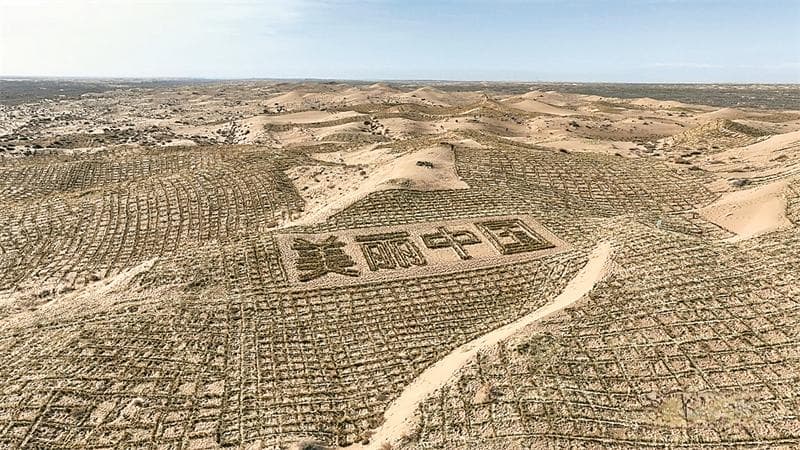 草方格织出沙漠绿洲，八步沙民兵连助力生态建设