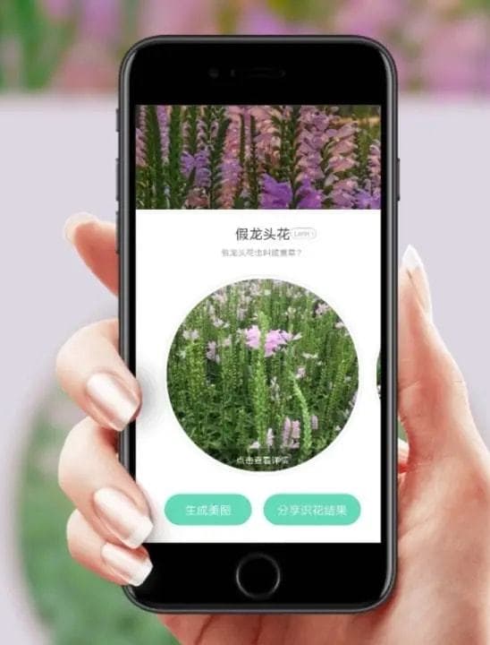 景观设计中如何做出“高大上”的植物配置