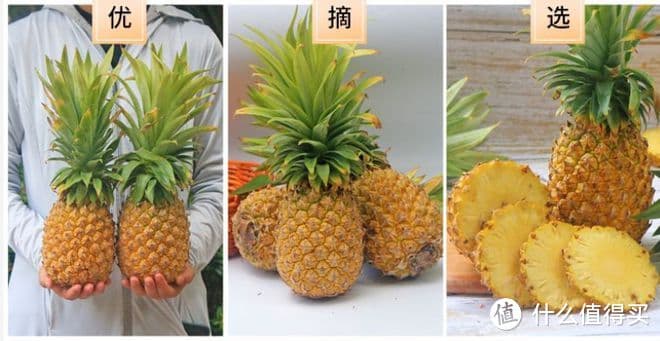 凤梨和菠萝哪个更好吃？答案让你惊讶！