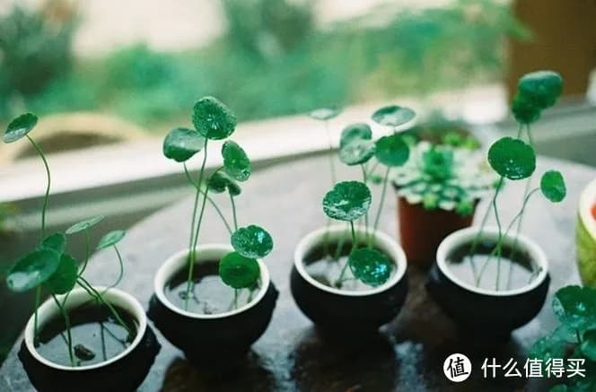 中央空调系统的设计与优化：追求能效与舒适的平衡