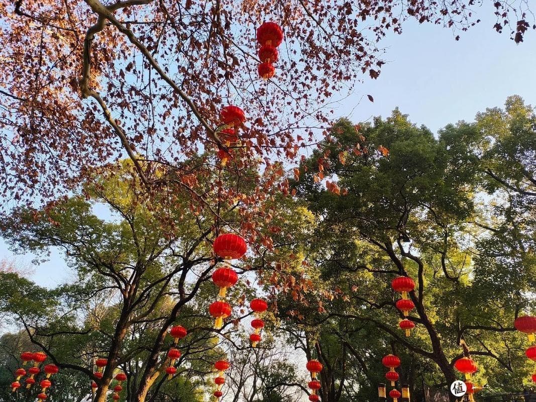 户外探险：如何规划一次安全又充实的徒步旅行