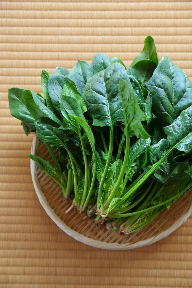 从菠菜到大蒜：18种耐寒蔬菜种植指南