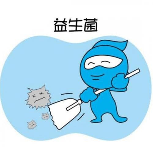 益生菌、益生元、合生元、后生元，傻傻分不清？一文读懂