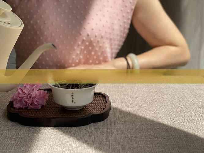 提升普洱茶价值的综合策略：从种植到市场推广全解析