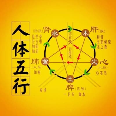名老中医苏乐山讲解中医针灸调理阴虚体质，实现身体阴阳平衡